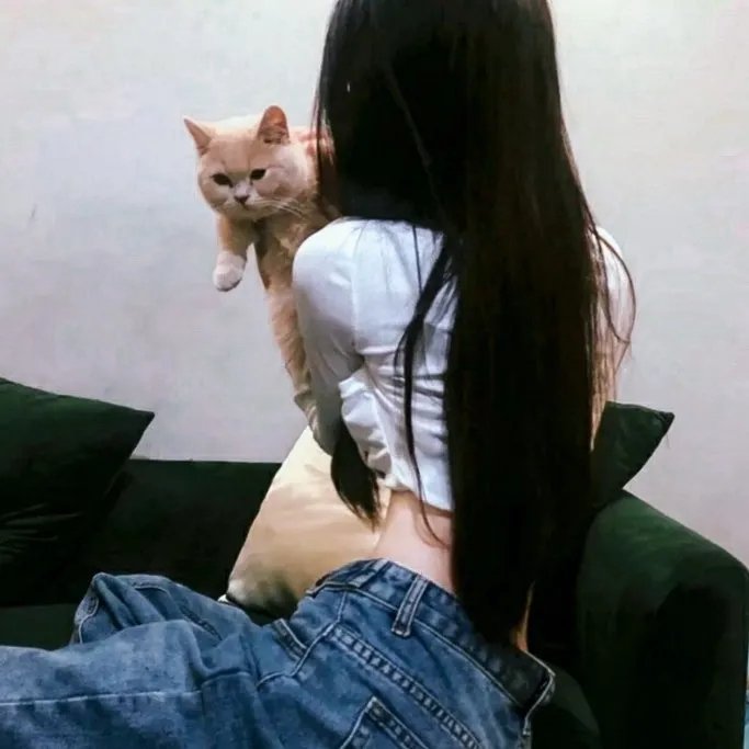 飞马俏姑娘